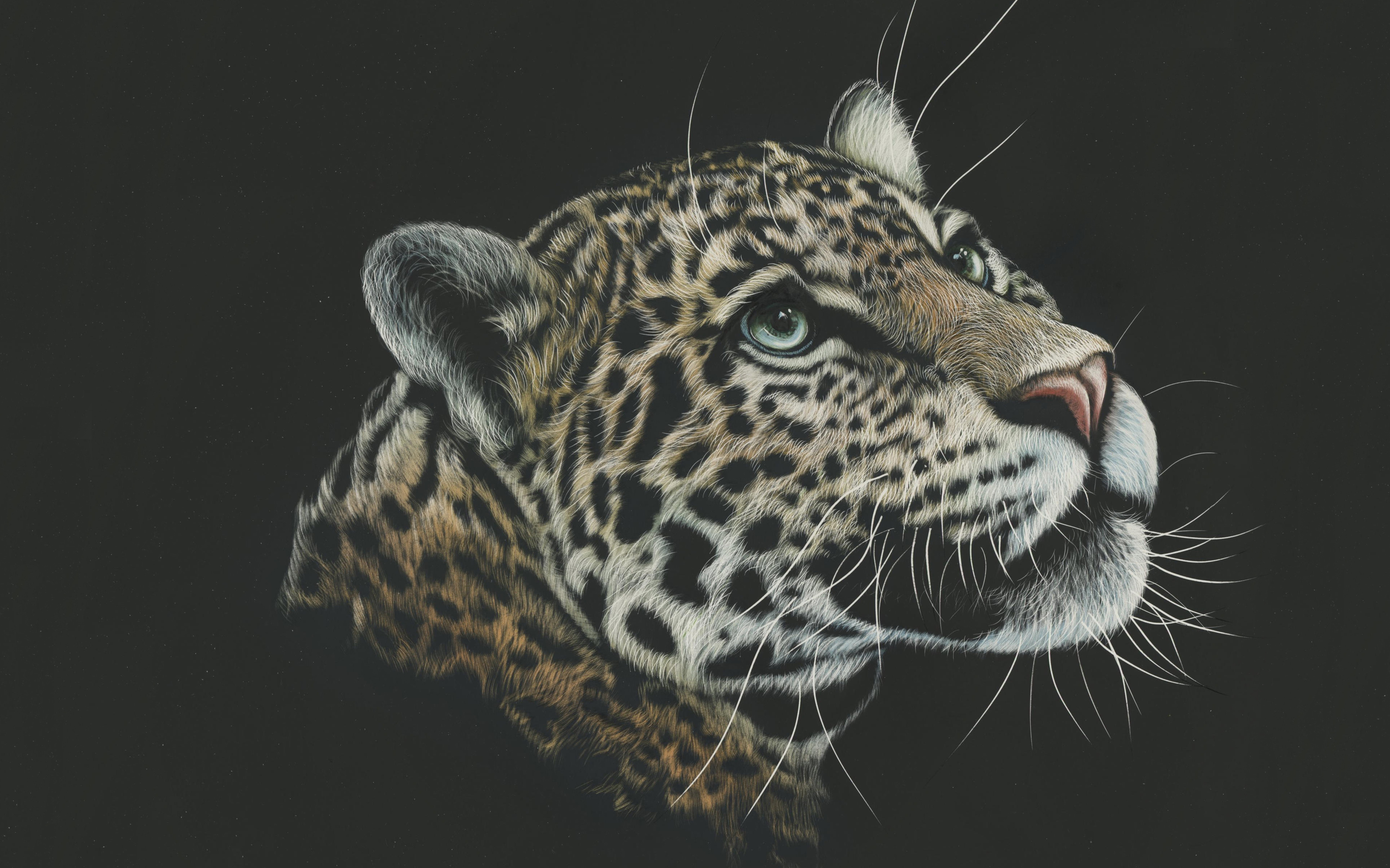 Leopard Artwork Paint 4K2037212504